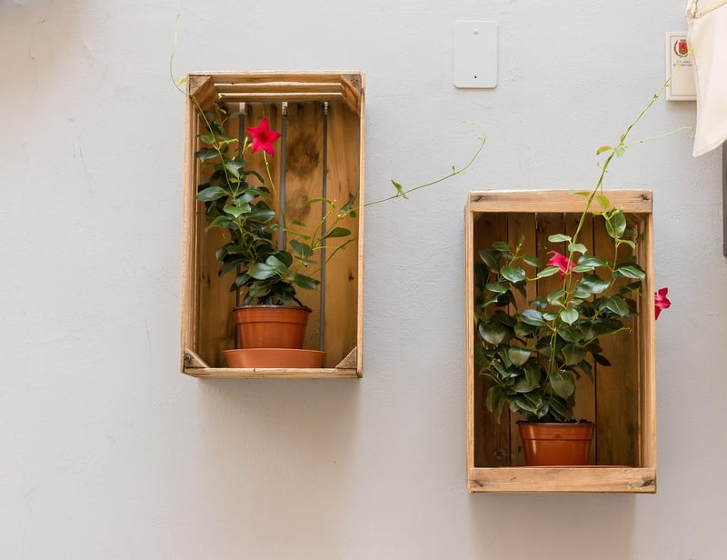 Creative Plant Pots