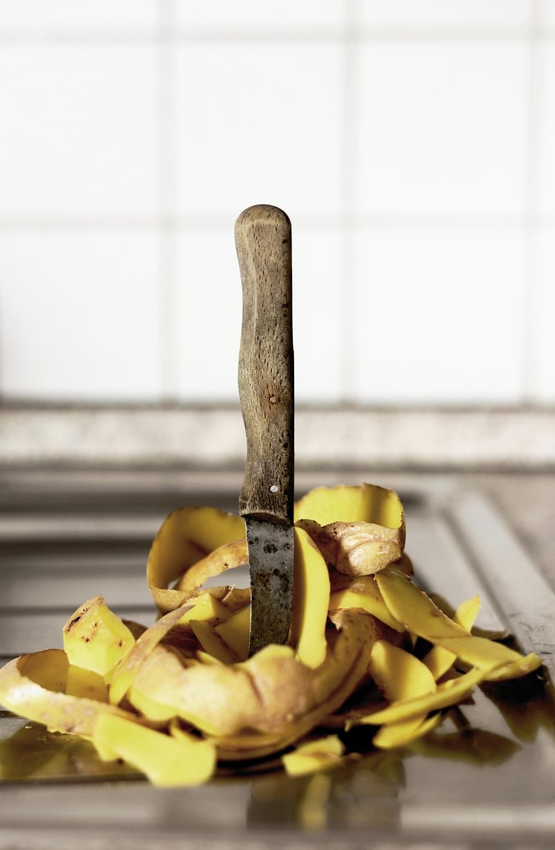 Kitchen Waste