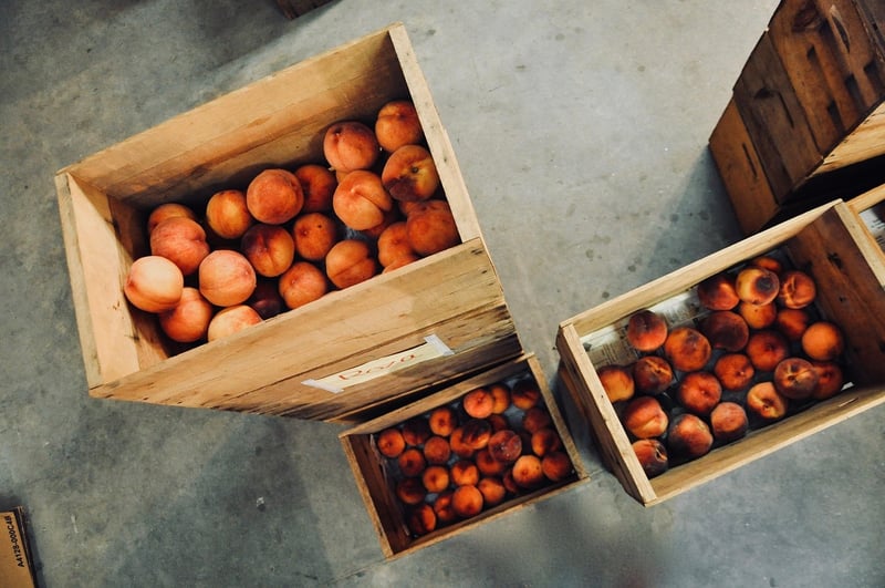 Wooden Crates Plant Pots