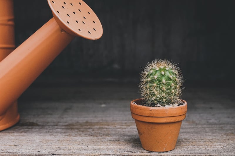 Upcycled Rain Boots Plant Pots